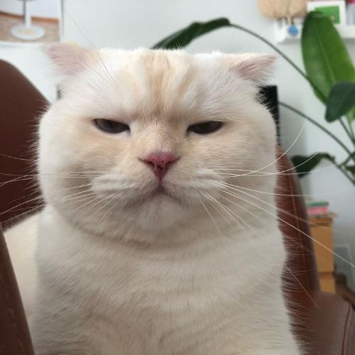 สมาชิกหมายเลข 5672413