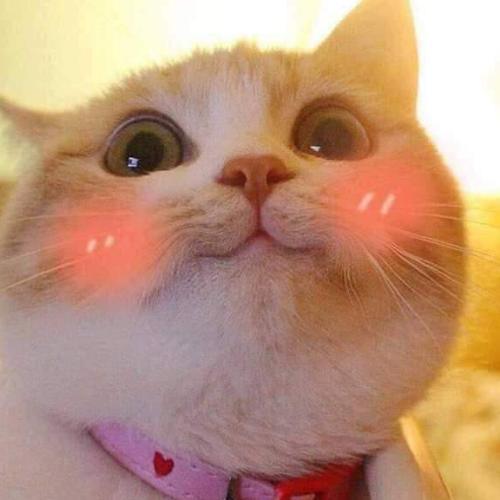 สมาชิกหมายเลข 5958011