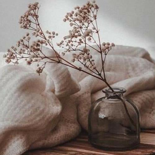 สมาชิกหมายเลข 4813757