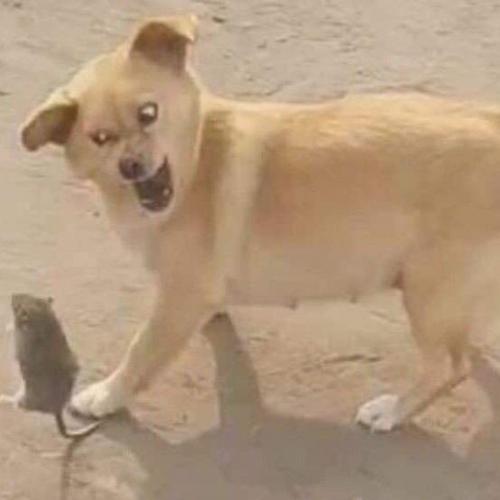 สมาชิกหมายเลข 5072166