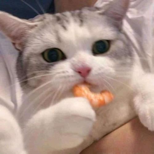 สมาชิกหมายเลข 6416300