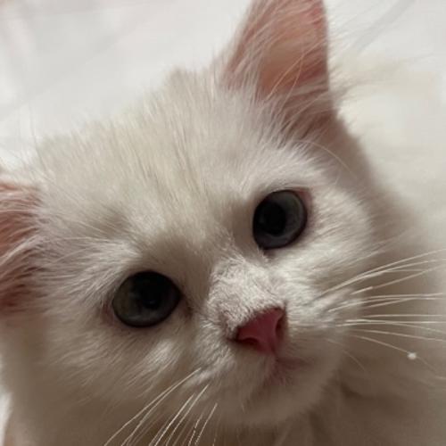 สมาชิกหมายเลข 3000218