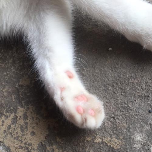 สมาชิกหมายเลข 7895182