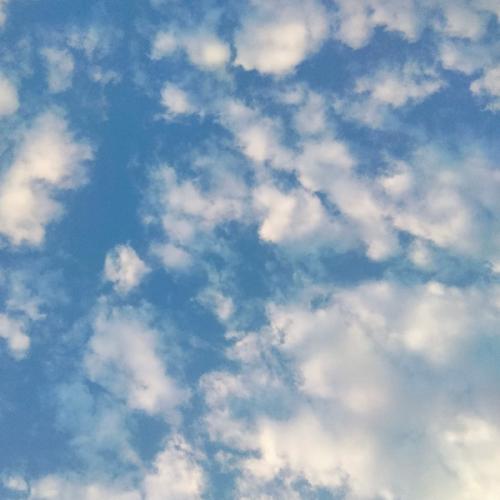 สมาชิกหมายเลข 8119193