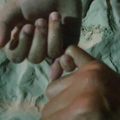 สมาชิกหมายเลข 5702478