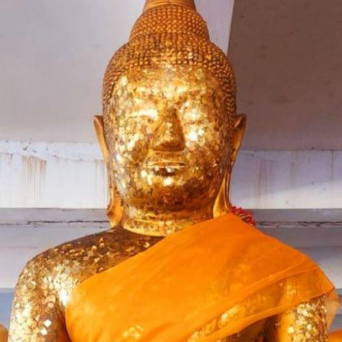 สมาชิกหมายเลข 6393385