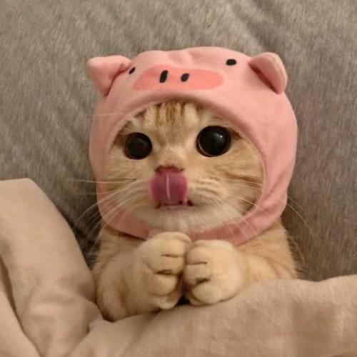 สมาชิกหมายเลข 8201594