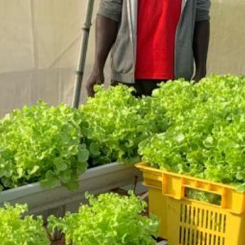 สมาชิกหมายเลข 9158045