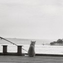 สมาชิกหมายเลข 1058660