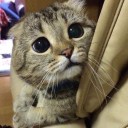 สมาชิกหมายเลข 2815204