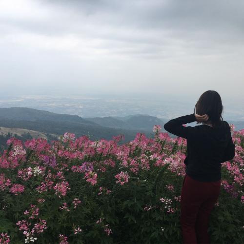 สมาชิกหมายเลข 2520491