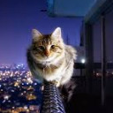 สมาชิกหมายเลข 4438195