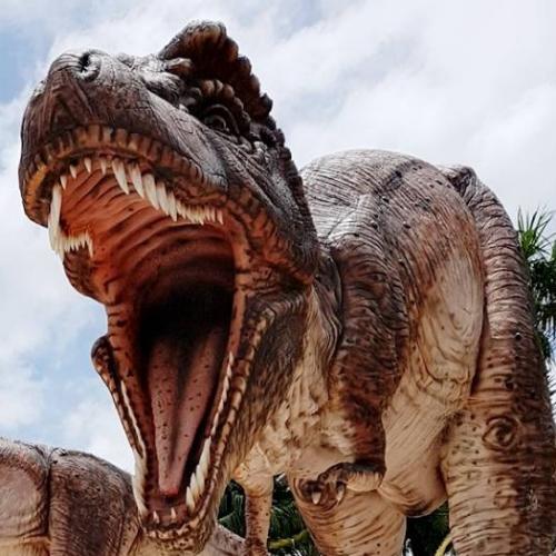 สมาชิกหมายเลข 4682123