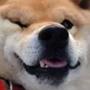 สมาชิกหมายเลข 4682249