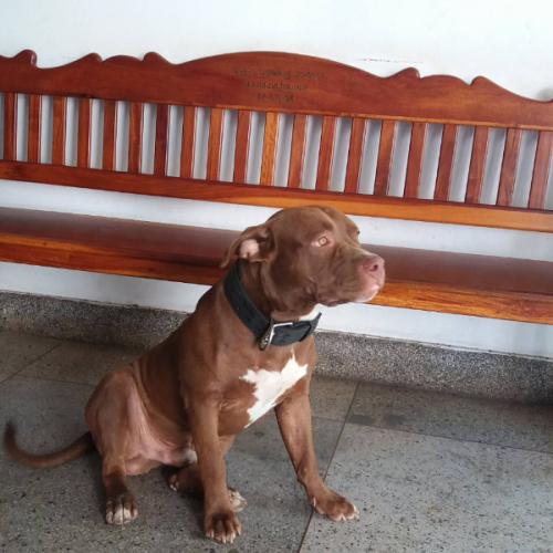 สมาชิกหมายเลข 4682516