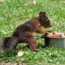 สมาชิกหมายเลข 4762974