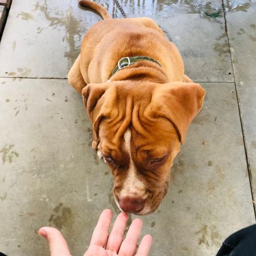 สมาชิกหมายเลข 981058