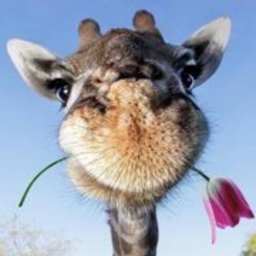 สมาชิกหมายเลข 1386458