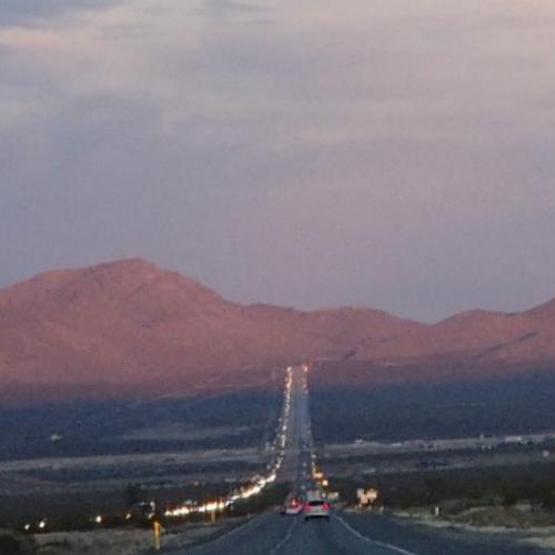 ลูกแม่โดม