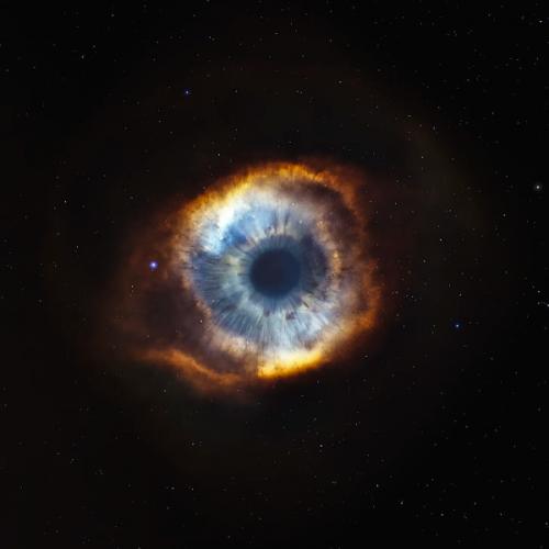 สมาชิกหมายเลข 8092766