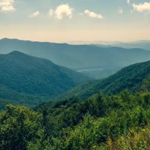 สมาชิกหมายเลข 9104841