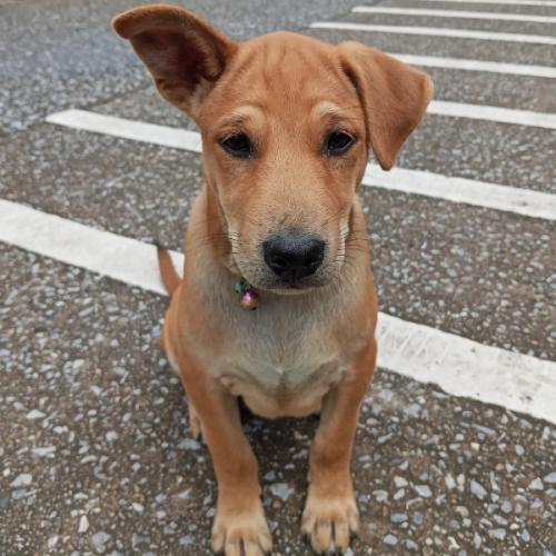 สมาชิกหมายเลข 9160087