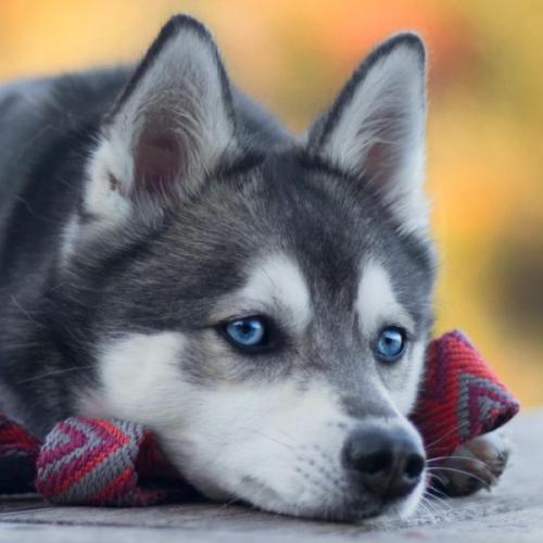 สมาชิกหมายเลข 933113