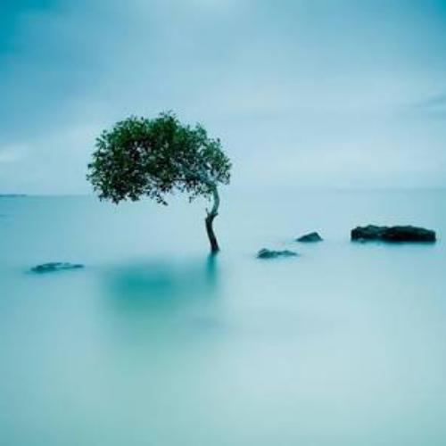 สมาชิกหมายเลข 4306030