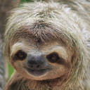 สมาชิกหมายเลข 4588471