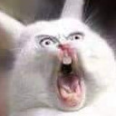 สมาชิกหมายเลข 5047514