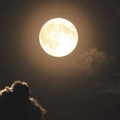 สมาชิกหมายเลข 5300825