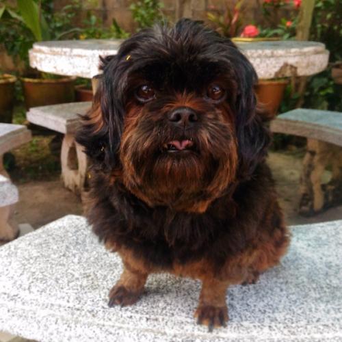 สมาชิกหมายเลข 5959521