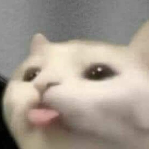 สมาชิกหมายเลข 6347737