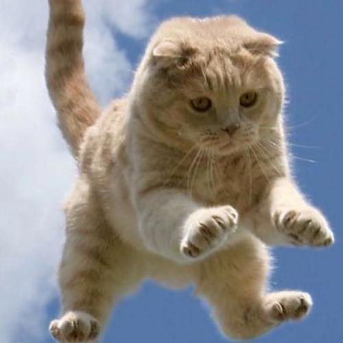 สมาชิกหมายเลข 6756939