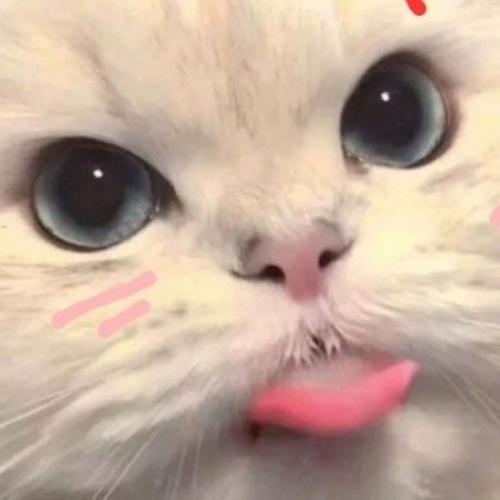 สมาชิกหมายเลข 8121057