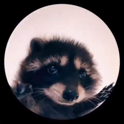 สมาชิกหมายเลข 8121556