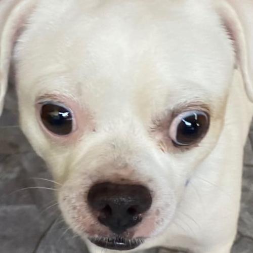 สมาชิกหมายเลข 8121586