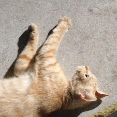 สมาชิกหมายเลข 8121702