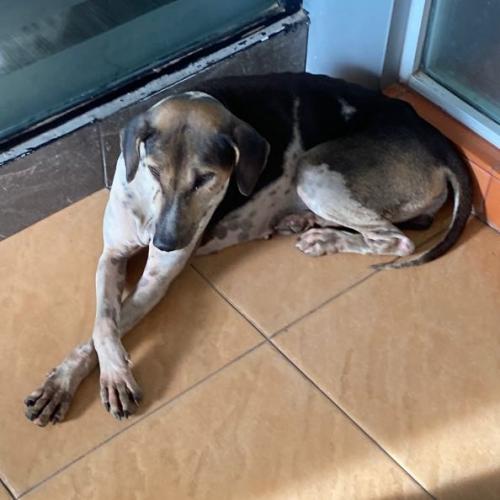 สมาชิกหมายเลข 9161502