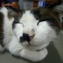 อะรึว่า