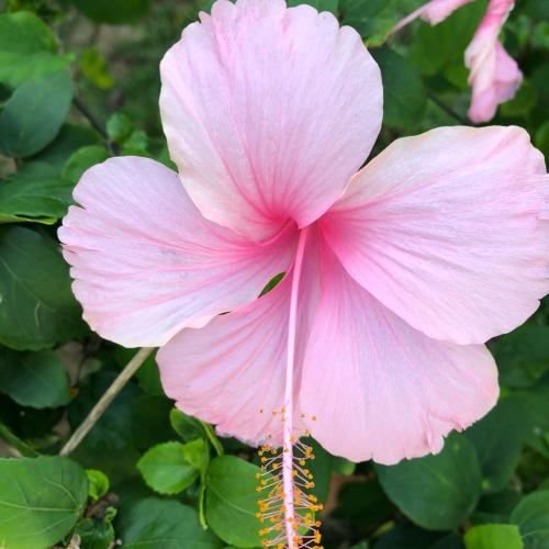 สมาชิกหมายเลข 1250102