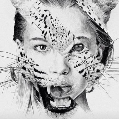 สมาชิกหมายเลข 5048148