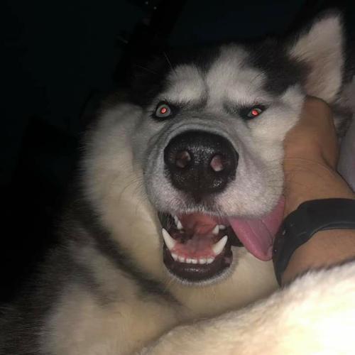 สมาชิกหมายเลข 5289746