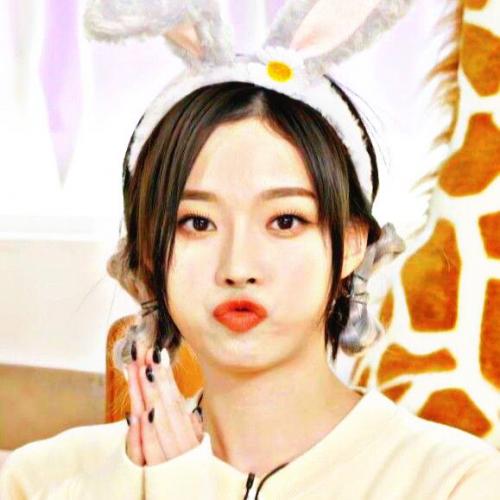 สมาชิกหมายเลข 4649262