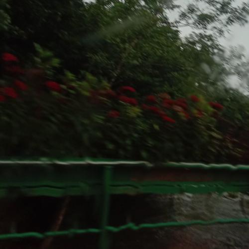 สมาชิกหมายเลข 4840000