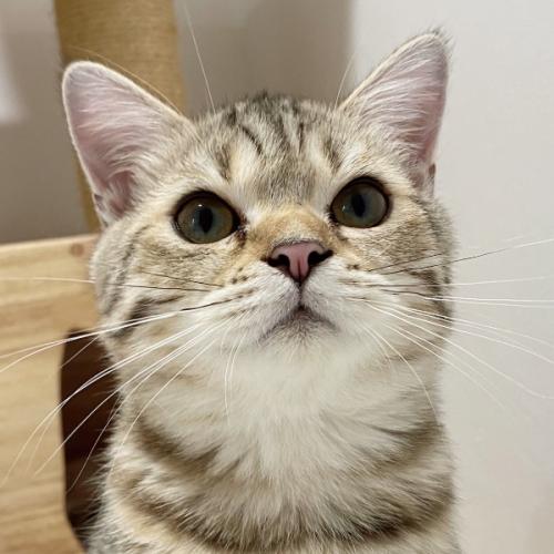 สมาชิกหมายเลข 6114286