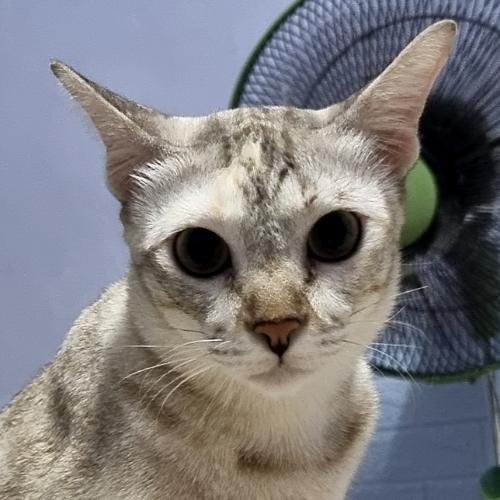 สมาชิกหมายเลข 6554424