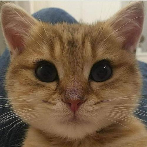 สมาชิกหมายเลข 6566148