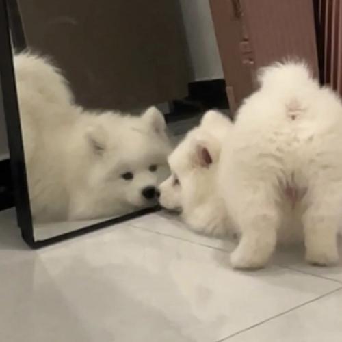 สมาชิกหมายเลข 7294922