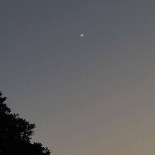 สมาชิกหมายเลข 8121908